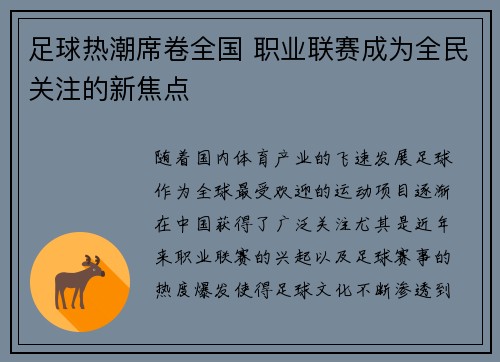 足球热潮席卷全国 职业联赛成为全民关注的新焦点